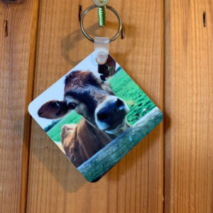 Bluebell Keyring