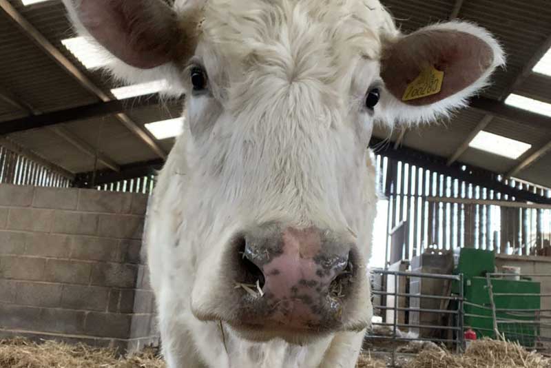 Image00001 Scaled E1588677183131 1024x683