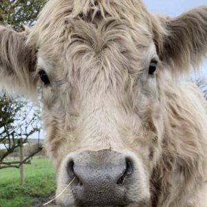 Sponsor Louise 1024x683