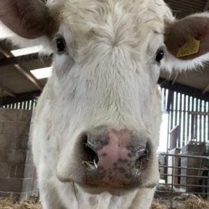 Image00001 Scaled E1588677183131 1024x683