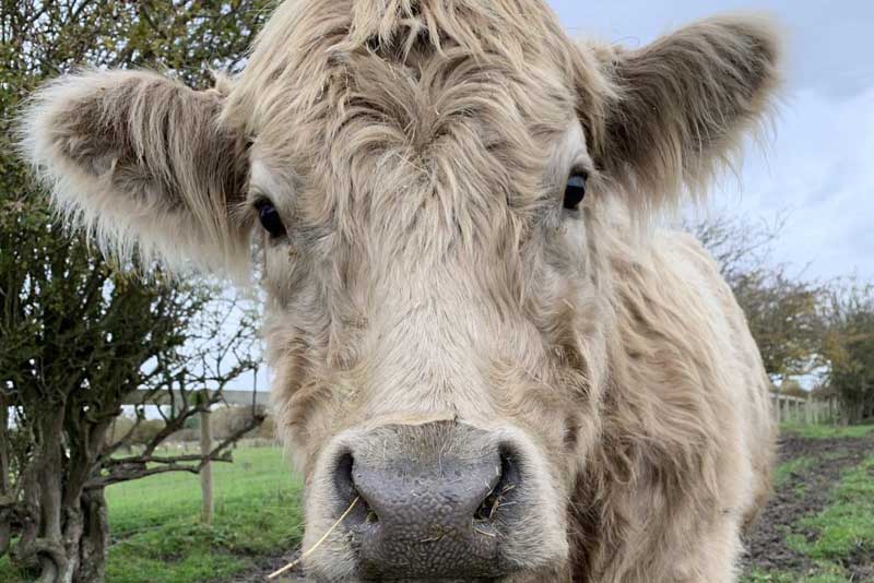 Sponsor Louise 1024x683