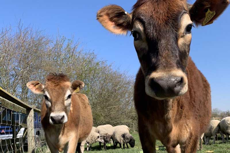 Image00001 2 Scaled E1588677617683 1024x683